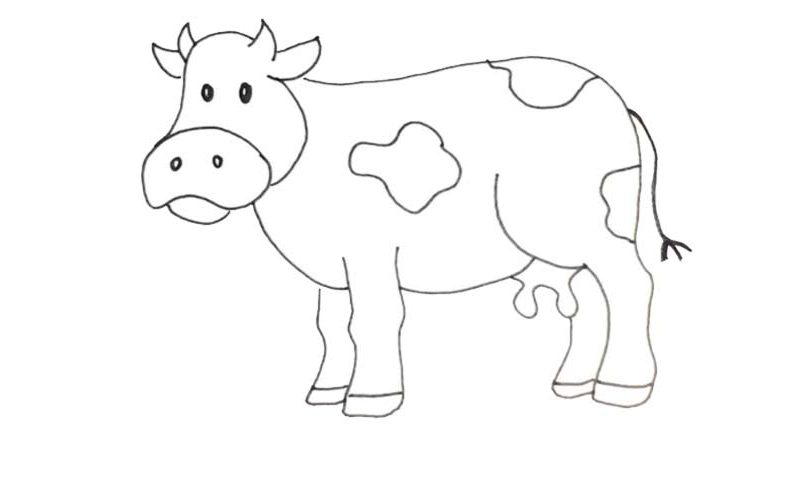 Download How To Draw A Cow - My How To Draw