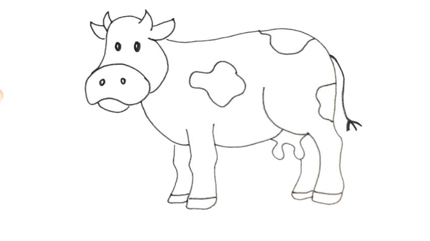 How To Draw A Cow - My How To Draw