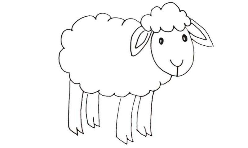How To Draw A Sheep - My How To Draw