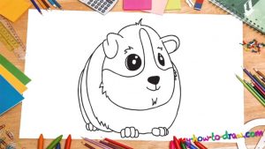 How To Draw A Guinea Pig - My How To Draw