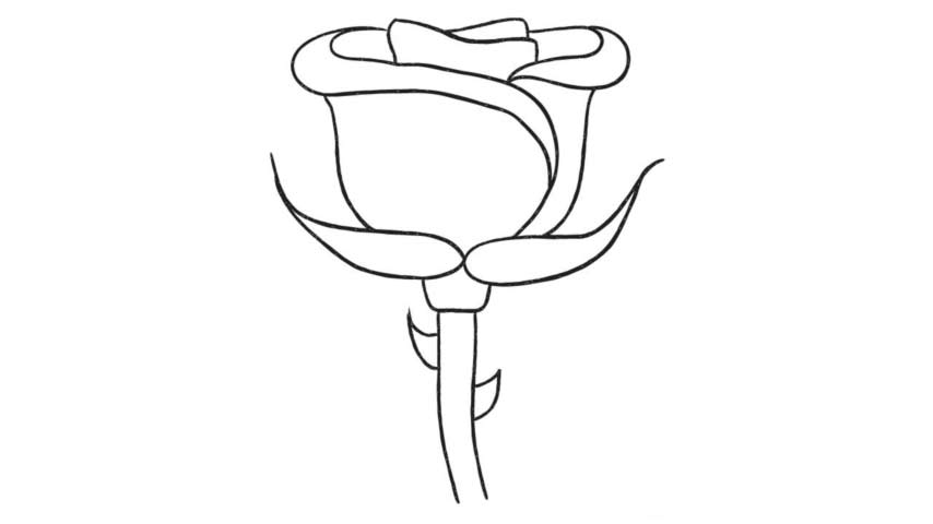 How To Draw A Rose On A Stem My How To Draw