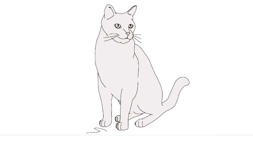 How to draw Cats My How To Draw