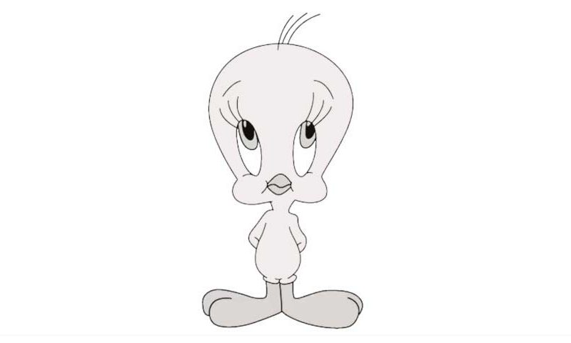Best How To Draw Tweety Bird Step By Step Easy in the world Check it out now 