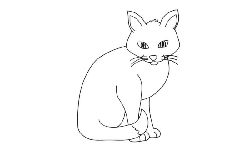 How to draw a Cat My How To Draw