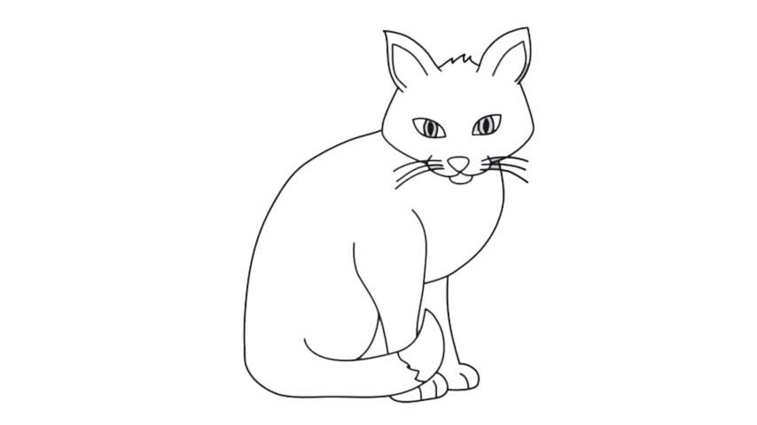 How to draw a Cat - My How To Draw