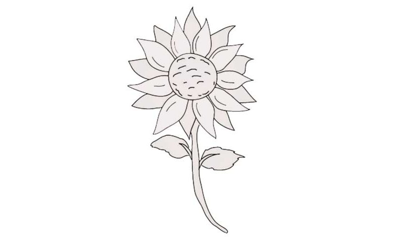 How to draw a Sunflower - My How To Draw
