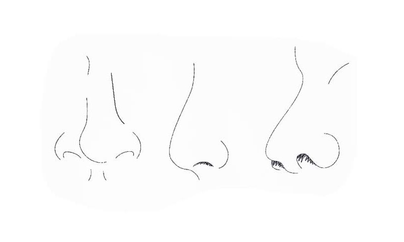 How To Draw Female Nose