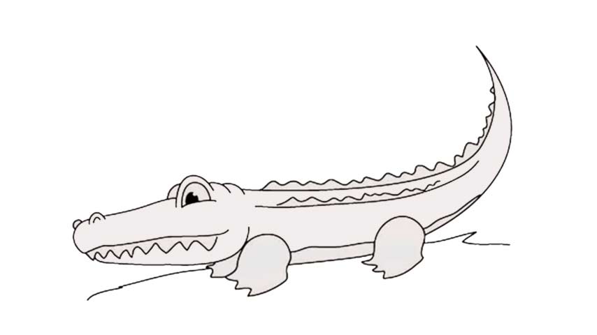 How to draw an Alligator - My How To Draw