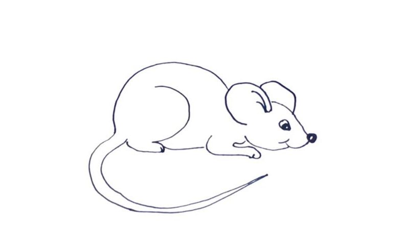 How To Draw A Little Mouse - My How To Draw