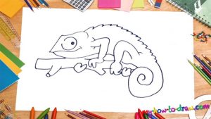 How To Draw A Chameleon - My How To Draw
