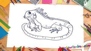 How To Draw An Iguana - My How To Draw