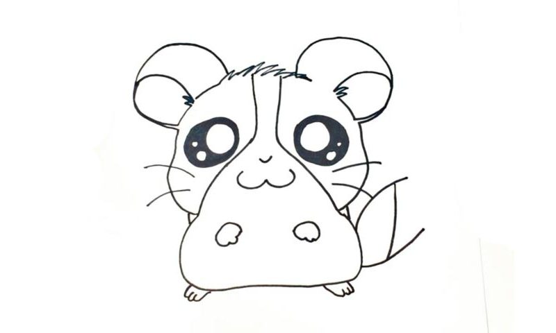 How To Draw A Hamster (Kawaii Version) - My How To Draw