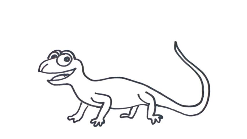 How To Draw A Lizard - My How To Draw