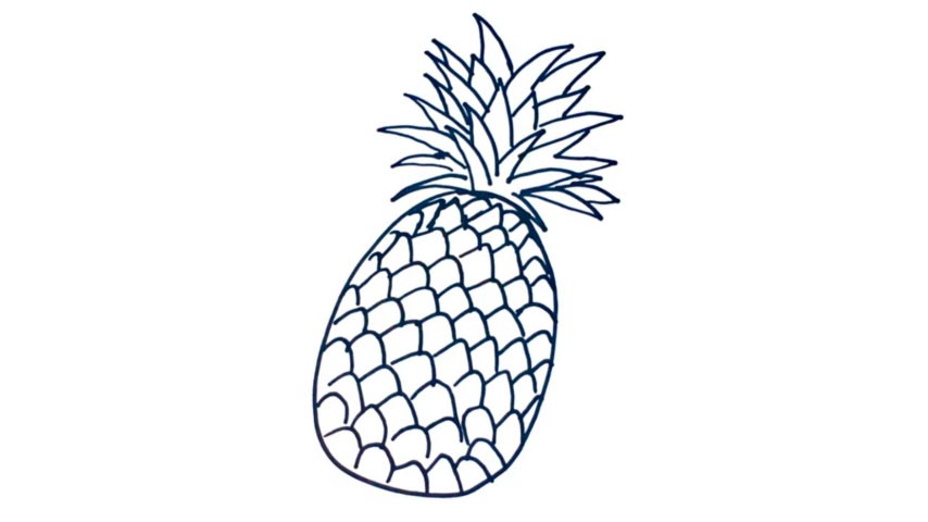 How To Draw A Pineapple - My How To Draw