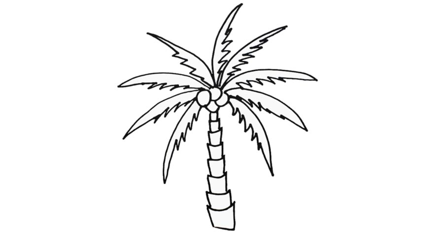 How To Draw A Palm Tree - My How To Draw