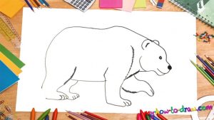 How To Draw A Polar Bear - My How To Draw