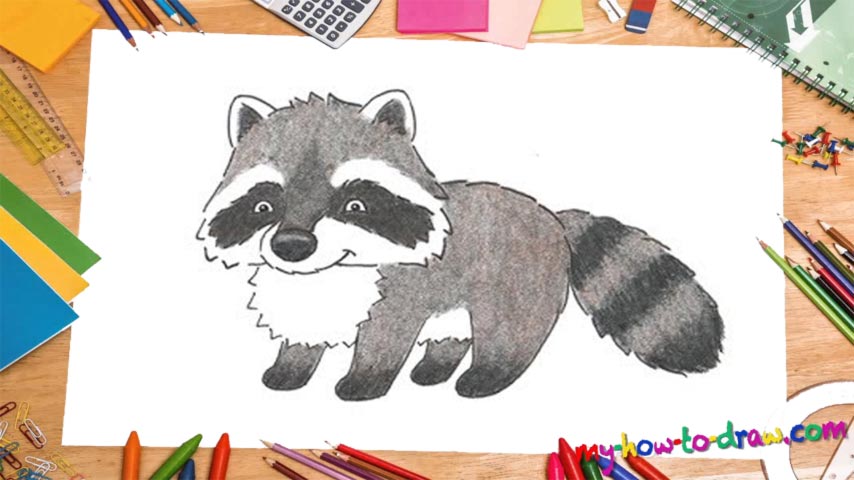 How To Draw A Racoon