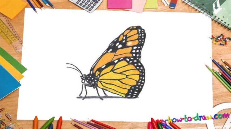 How To Draw A Monarch Butterfly - My How To Draw