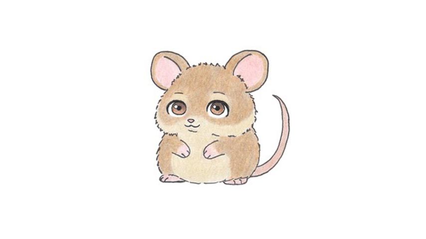 How To Draw A Cartoon Mouse My How To Draw