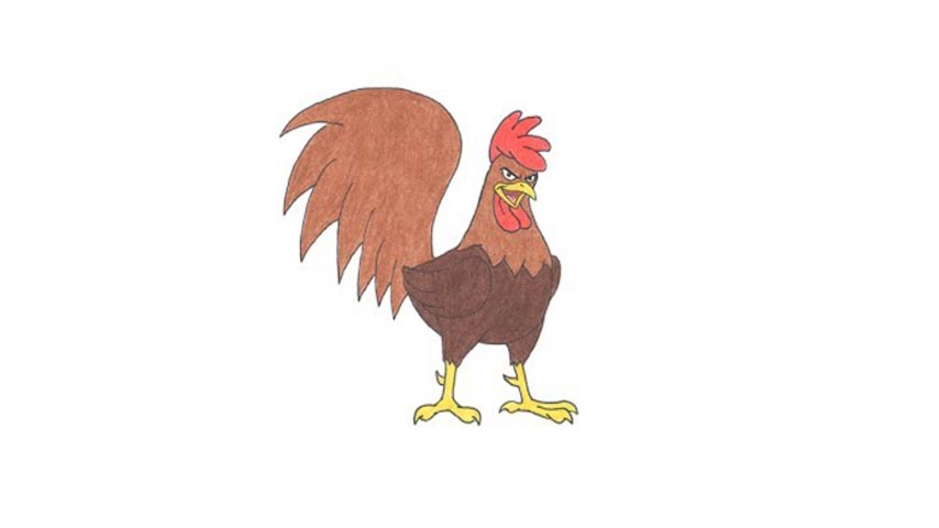 How To Draw A Cartoon Rooster - My How To Draw