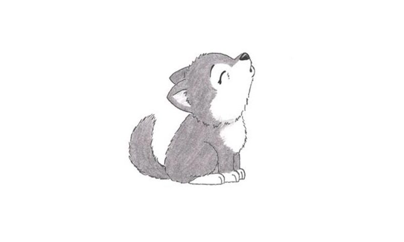 How To Draw A Howling Wolf My How To Draw How to draw a wolf easily, step by step is the tutorial today. how to draw a howling wolf my how to draw