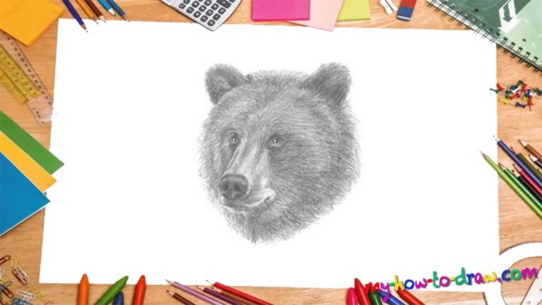 How To Draw A Bear’s Head - My How To Draw